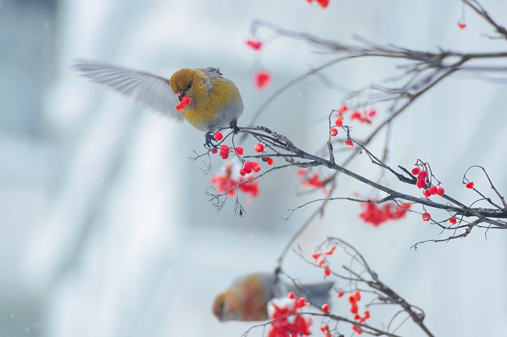 Photograph by Николай Грекалов