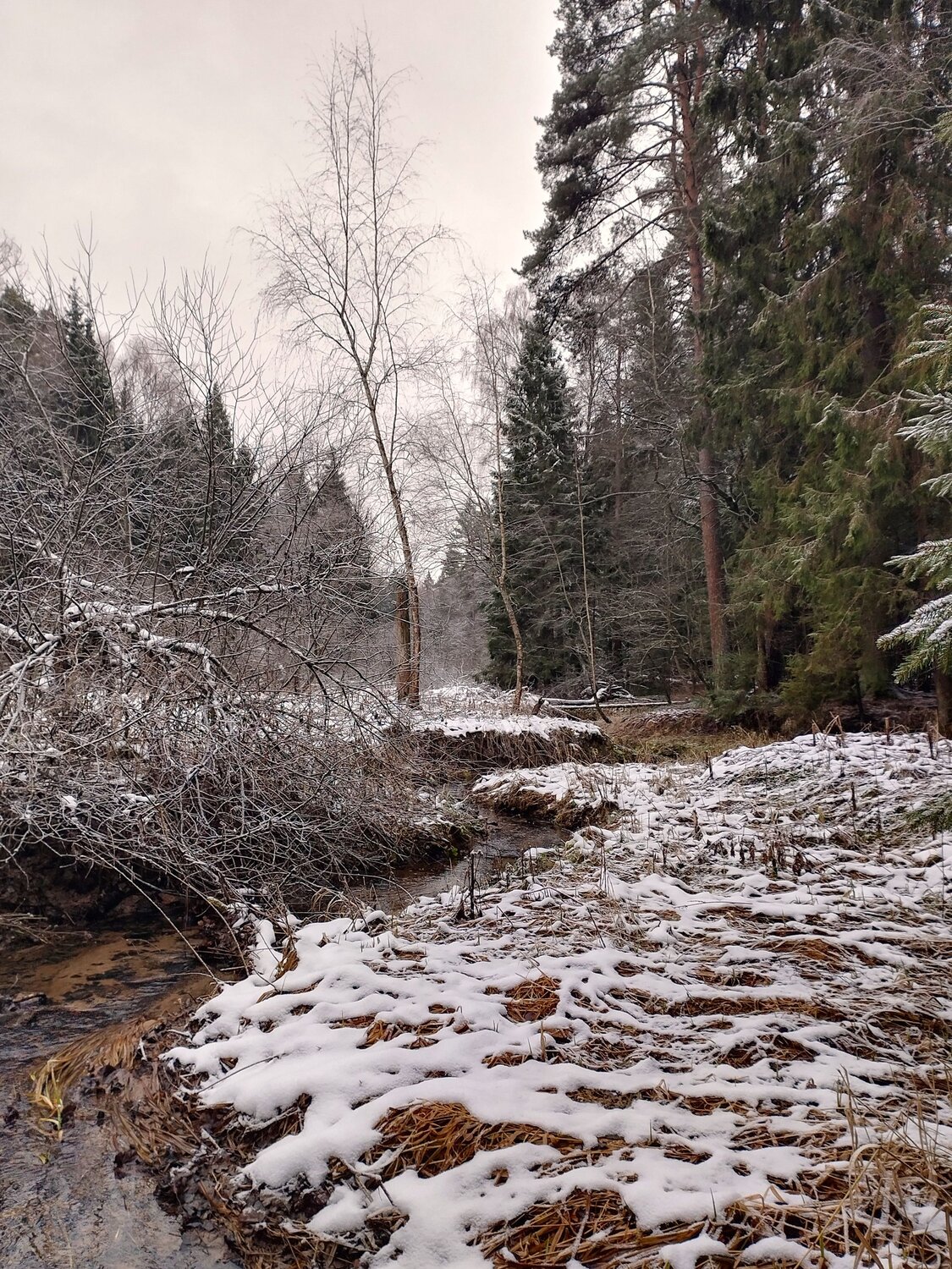 Photo #11812296