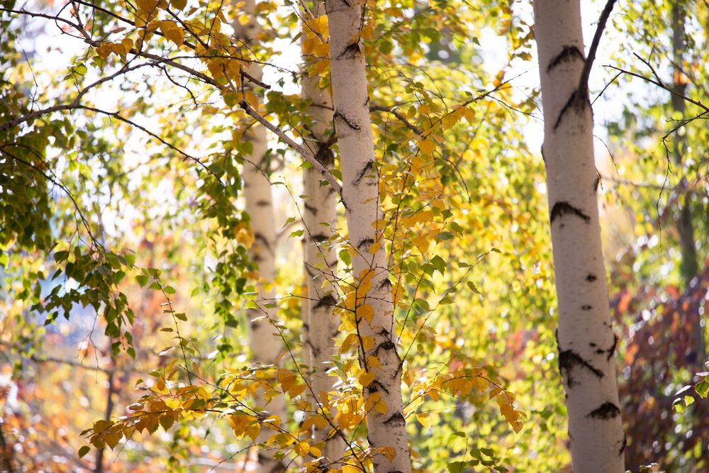 Photograph by Olga Gann