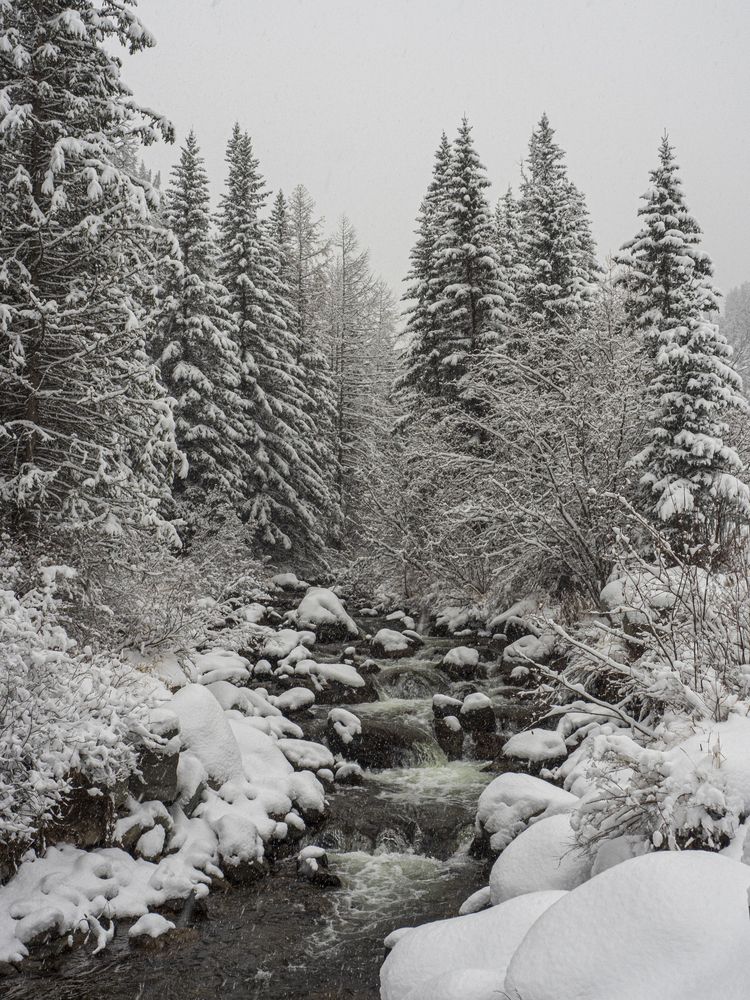 Photograph by Надежда Михайлина