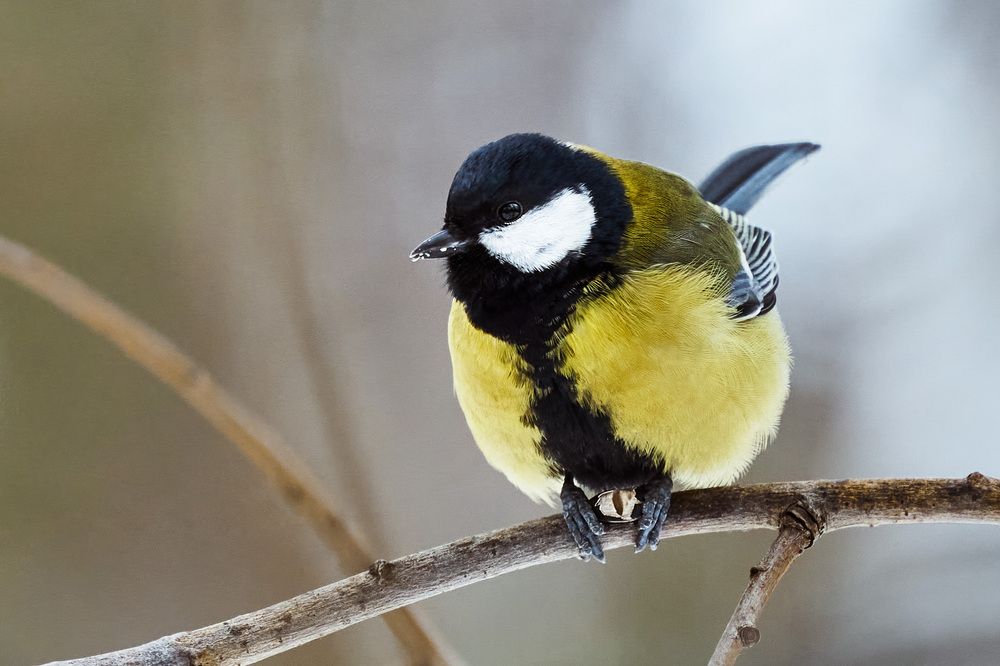 Фотография автора Кожанов Нуржан