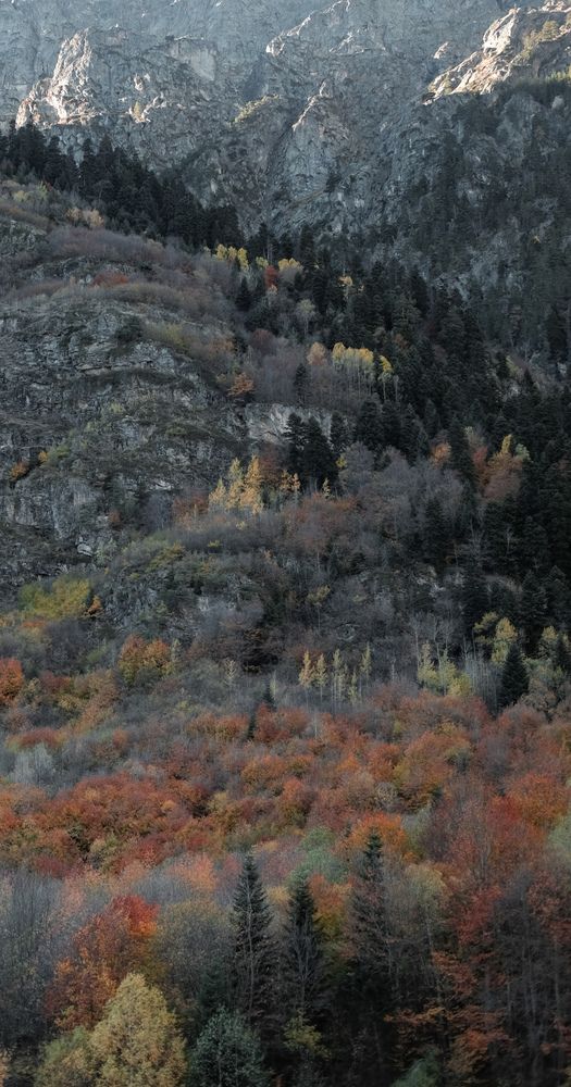 Фотография автора Константин Яковлев