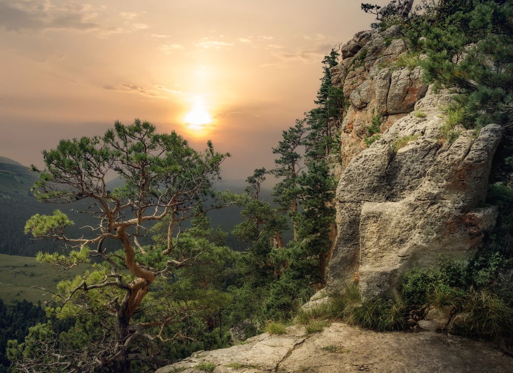 Фотография автора Константин Яковлев
