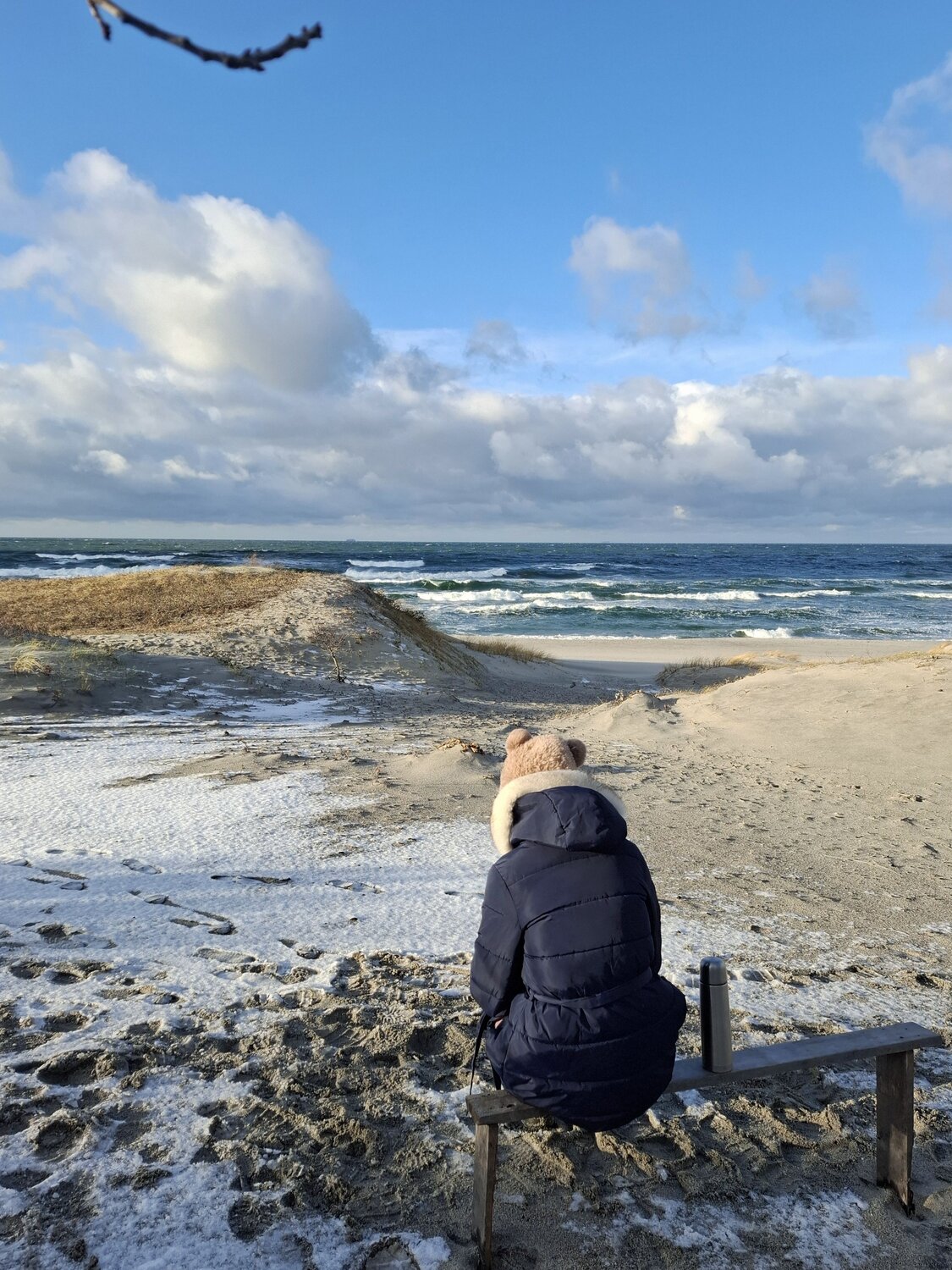 Photo #11812336