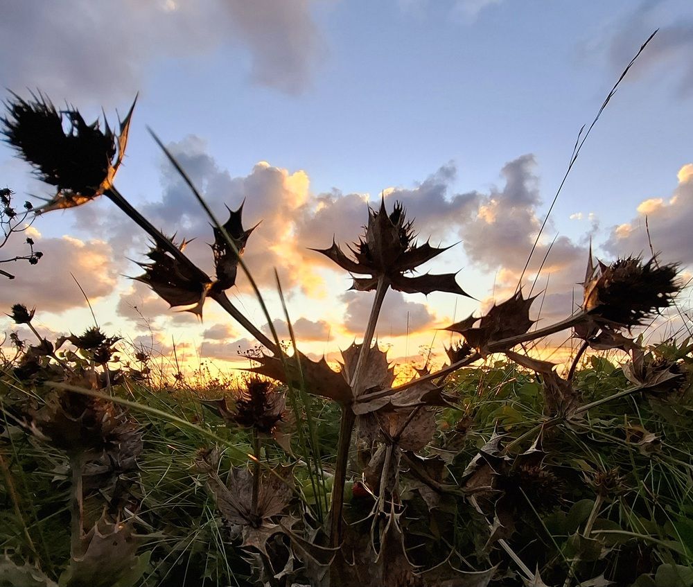 Photograph by Владимир Кублицкий