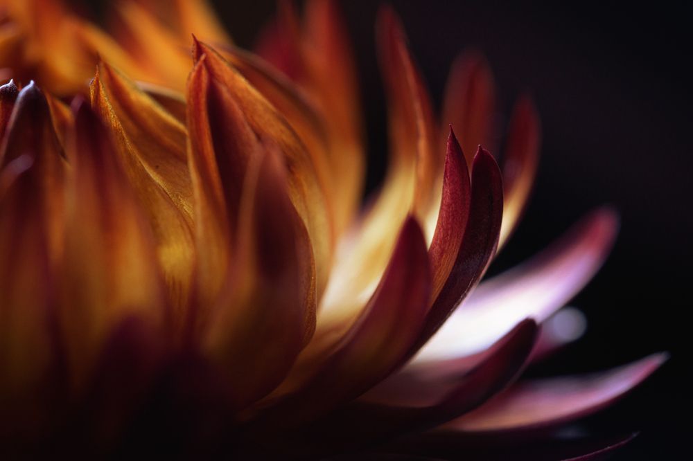 Photograph by Яна Бржозовская