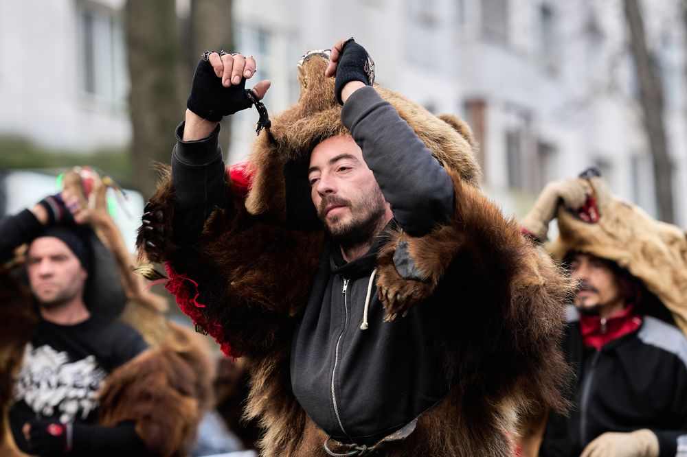 Фотография автора OVIDIU-IOAN TICU