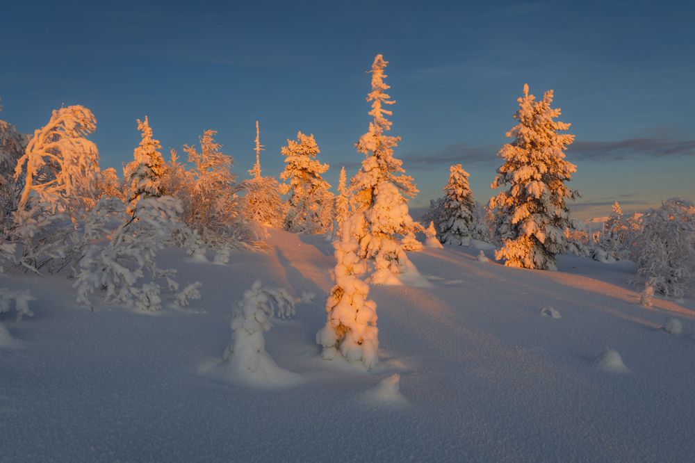 Photograph by Мария Казакова