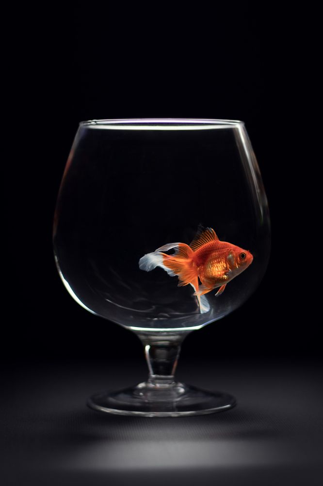 Photograph by Елена Мелихова