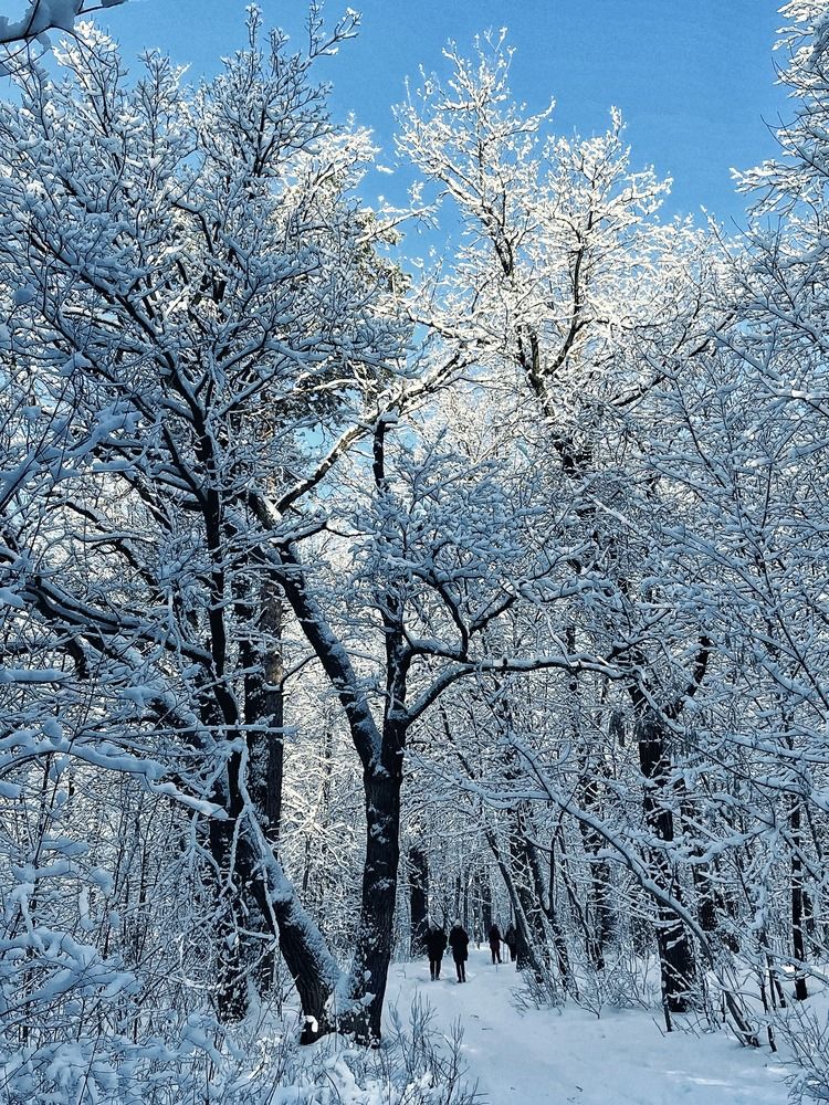 Photograph by Светлана Смук