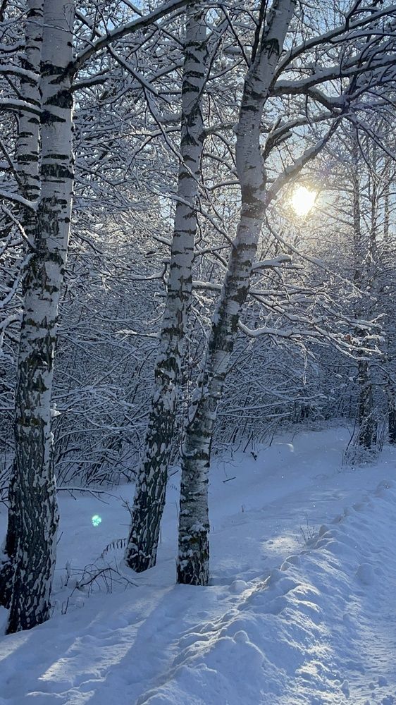 Photograph by Светлана Смук