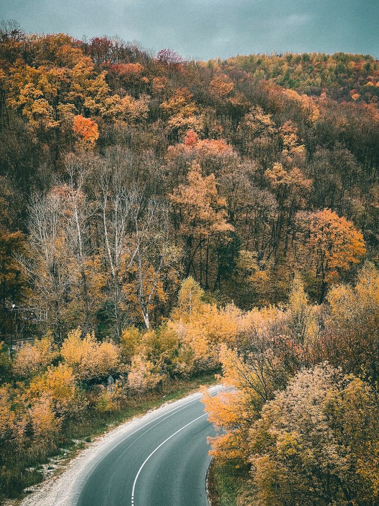 Photograph by Светлана Смук