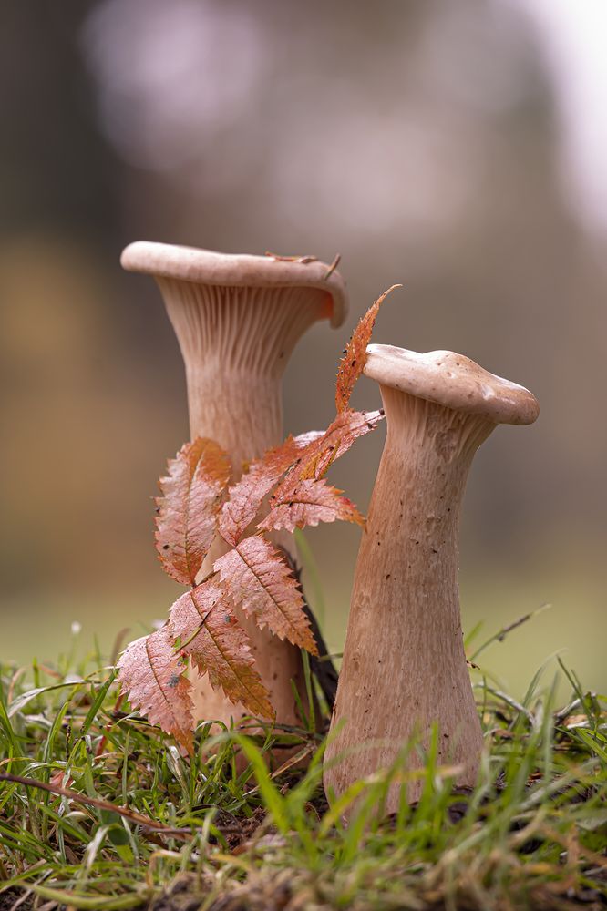 Photograph by Бурикова Екатерина