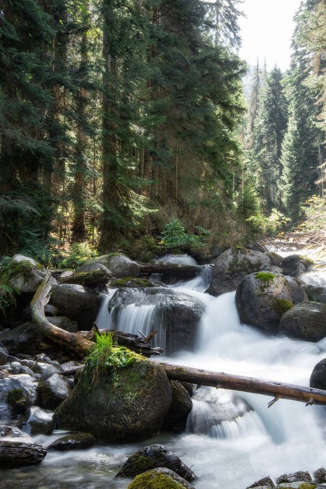 Фотография автора Константин Яковлев