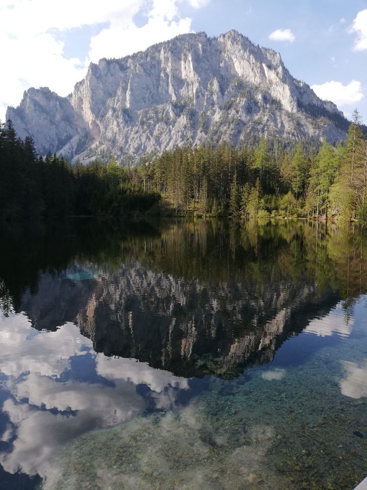 Photo #11812405