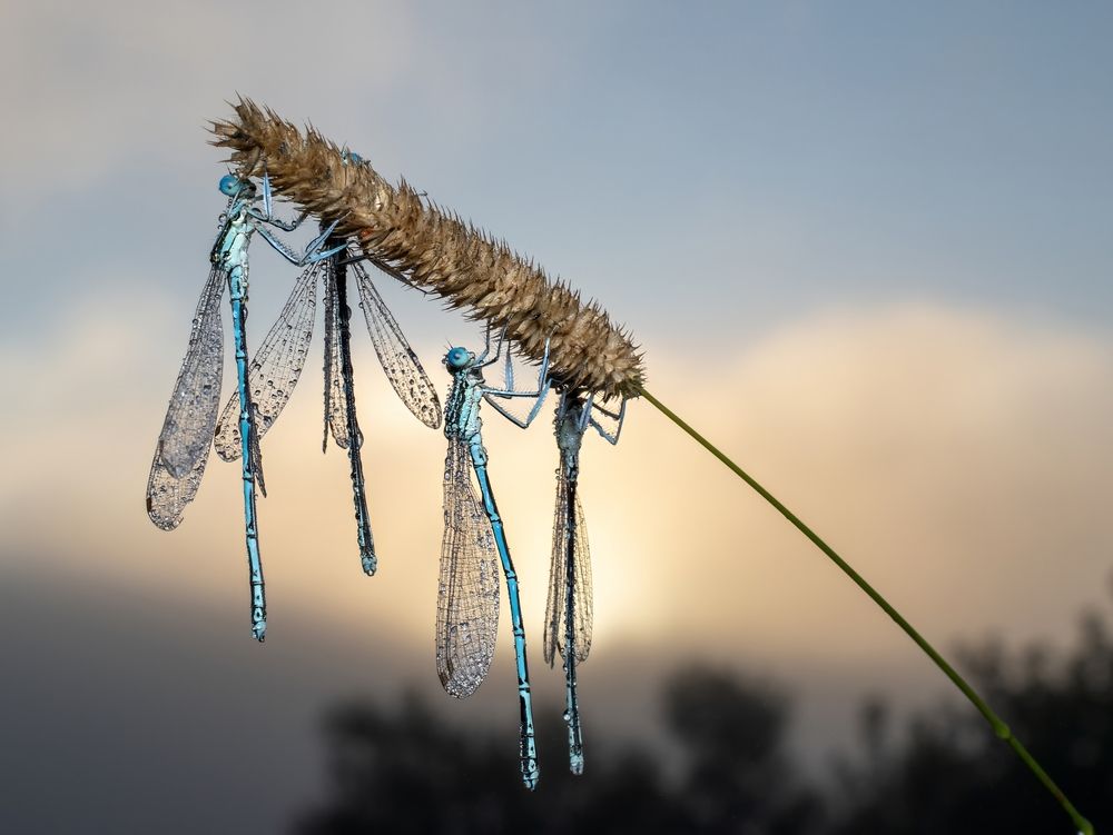 Photograph by Людмила Железнова