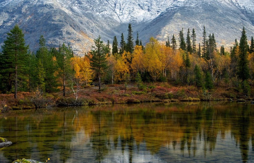 Photograph by Юрий Ц.