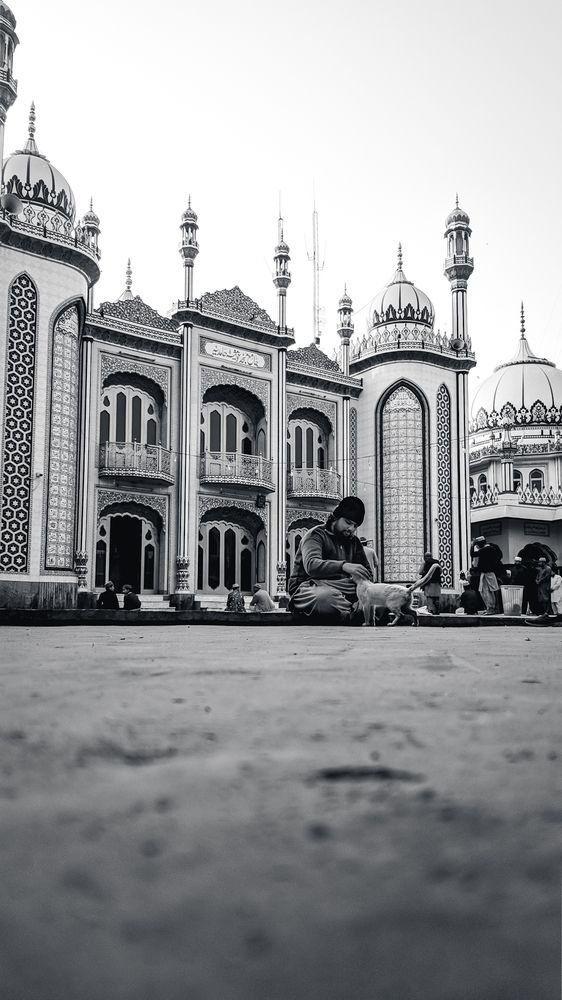 Photograph by Muneeb Qureshi