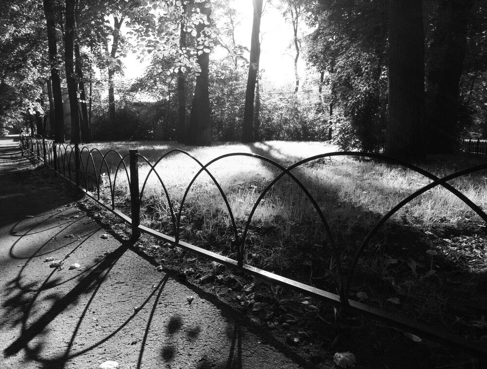 Photograph by Alb Traum