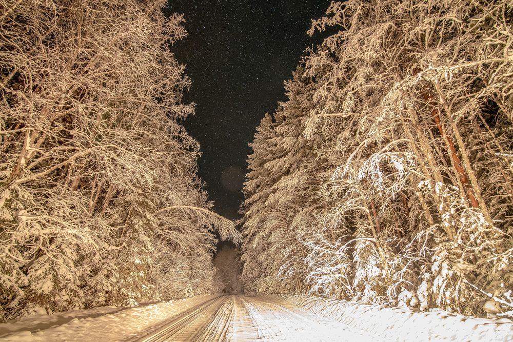 Photograph by Николай Грекалов