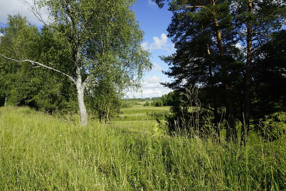 Photograph by Кириллов Сергей Викторович