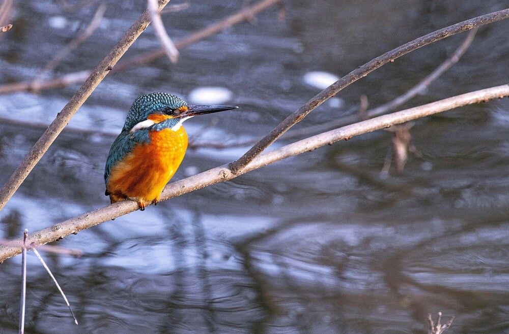 Photograph by Сиваков Алексей