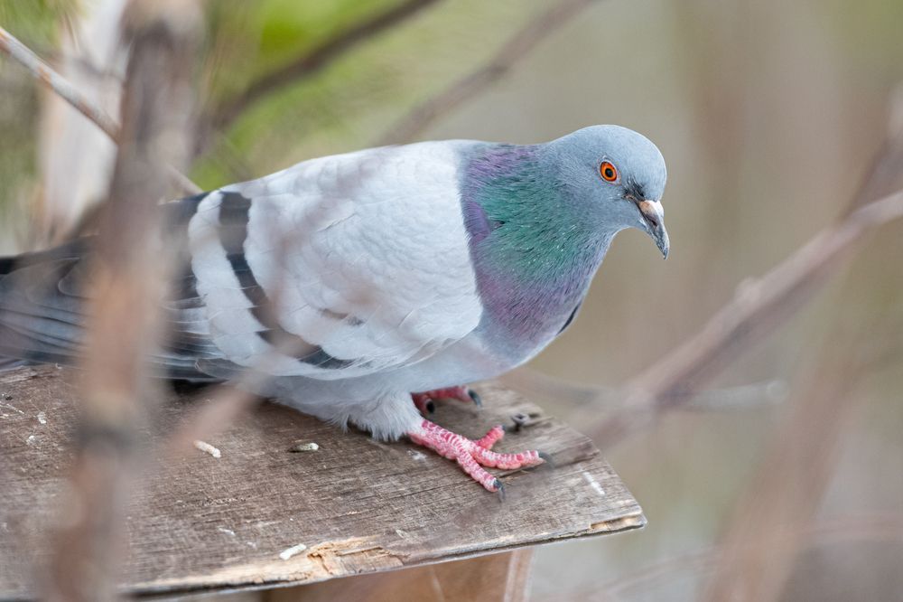 Photograph by Екатерина Абросова