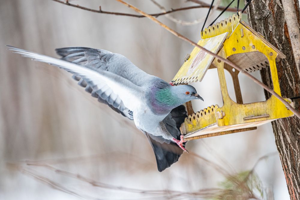 Photograph by Екатерина Абросова