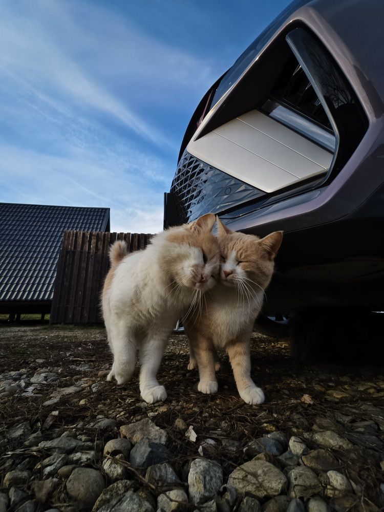 Фотография автора Евгений Былков