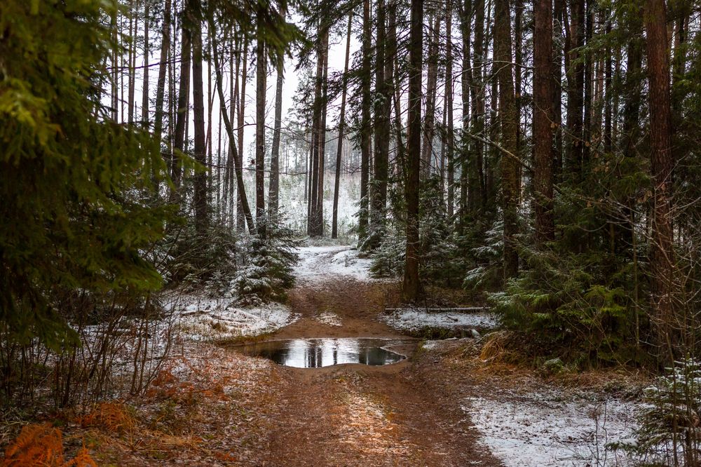 Photograph by Диана Бородзе