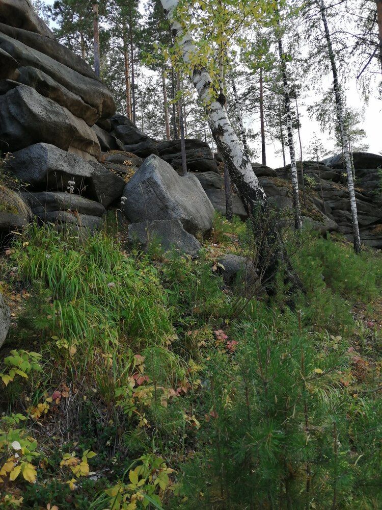 Фотография автора Юлия Лубкина