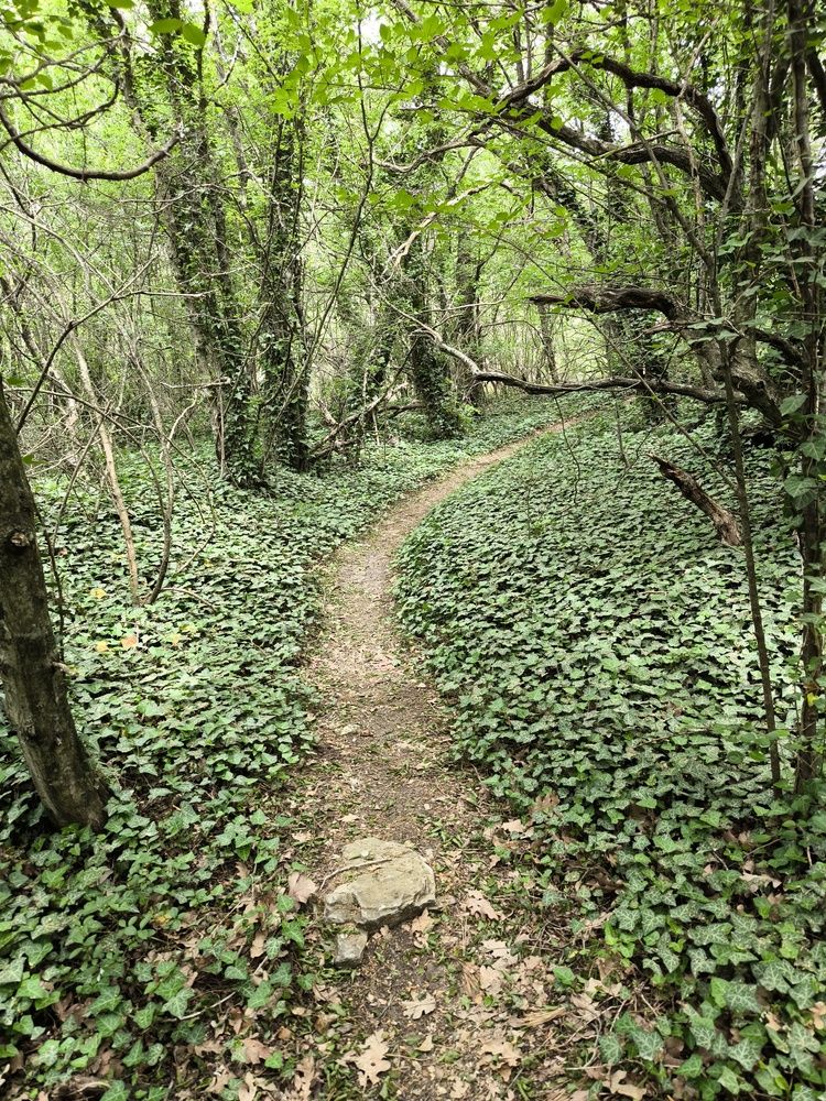 Фотография автора Юлия Лубкина