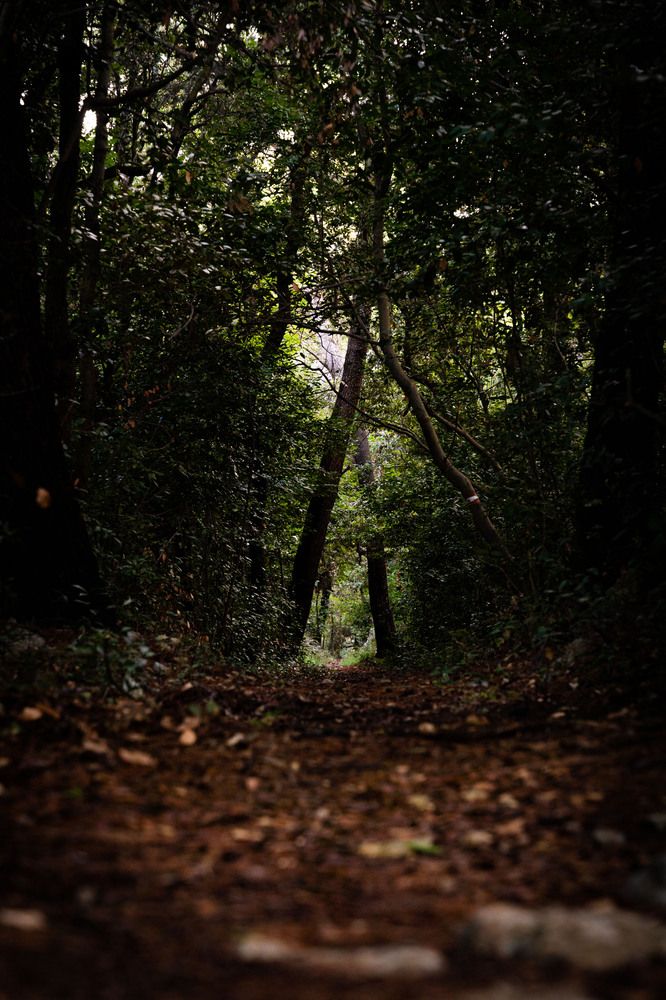 Photograph by Marija Kordić