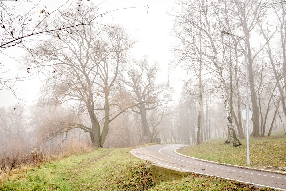 Photograph by Ольга Семина