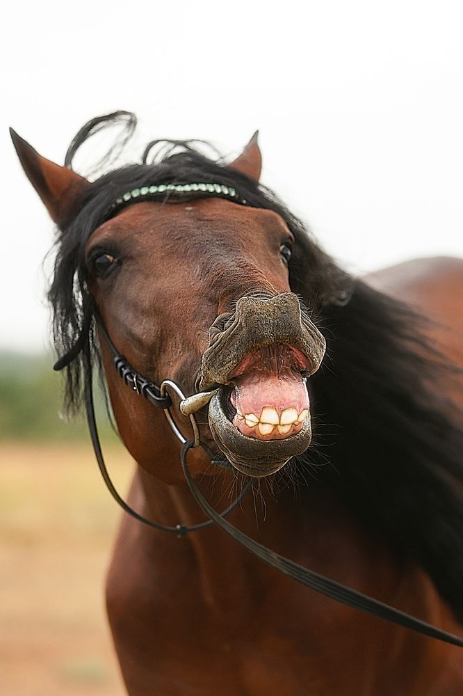 Фотография автора Анна Абрамова