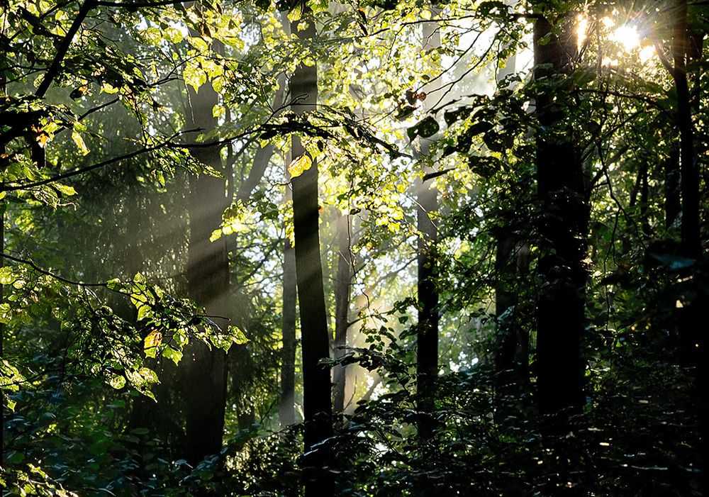 Photograph by Вишневецкая Светлана