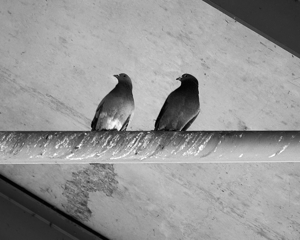 Photograph by Denys Zhytkevych