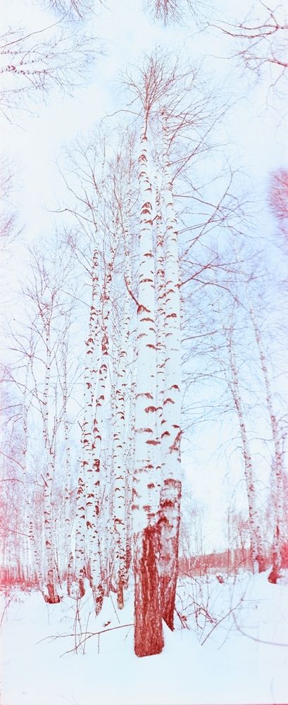 Фотография автора Egor Borodulin