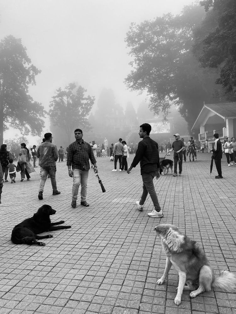 Photograph by Gargee Chowdhury