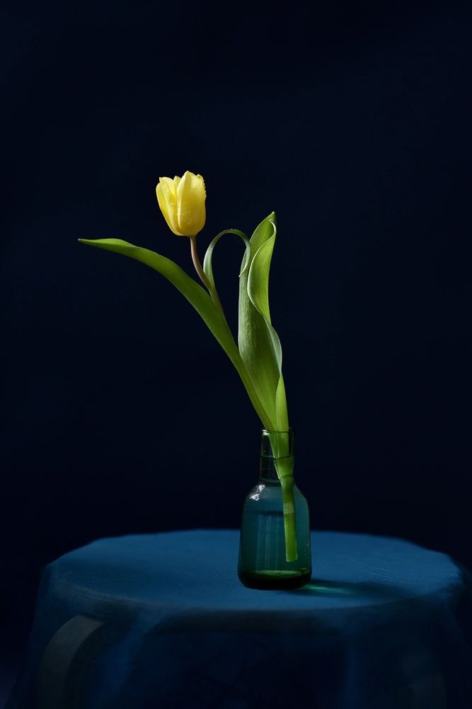 Photograph by Наташа Андреева