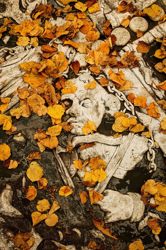 Photograph by Artiom Sechovcov