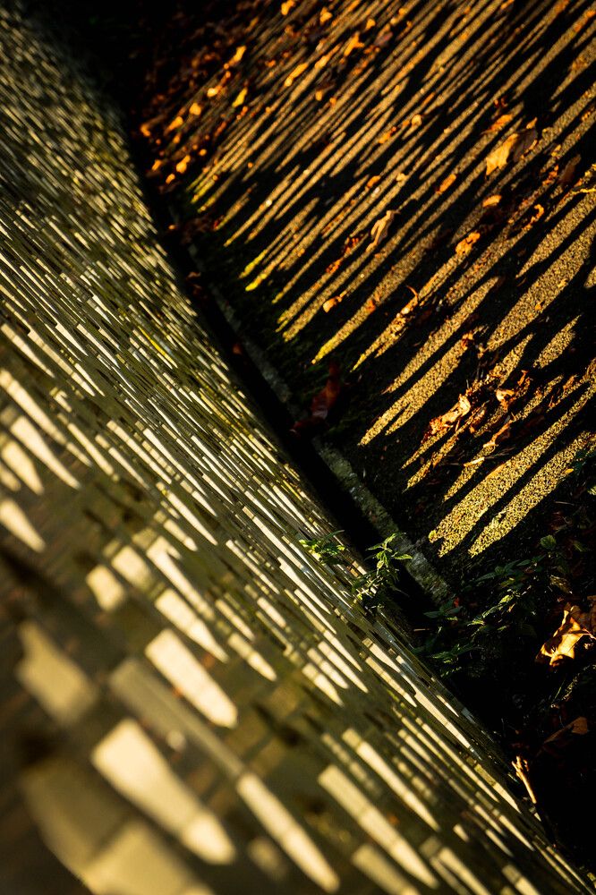 Photograph by Artiom Sechovcov