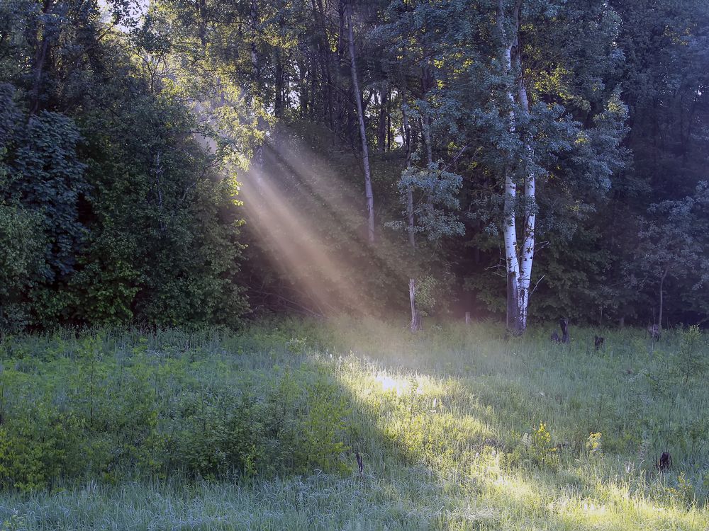 Photograph by Татьяна Феденкова