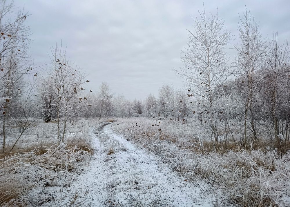 Photograph by Кондрашова Светлана