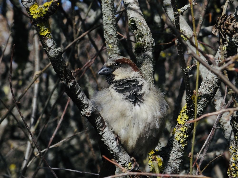 Photograph by Данила Мельников