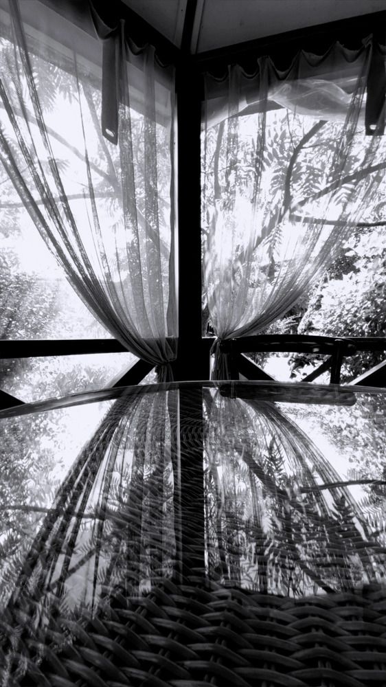 Photograph by Ольга Калинник