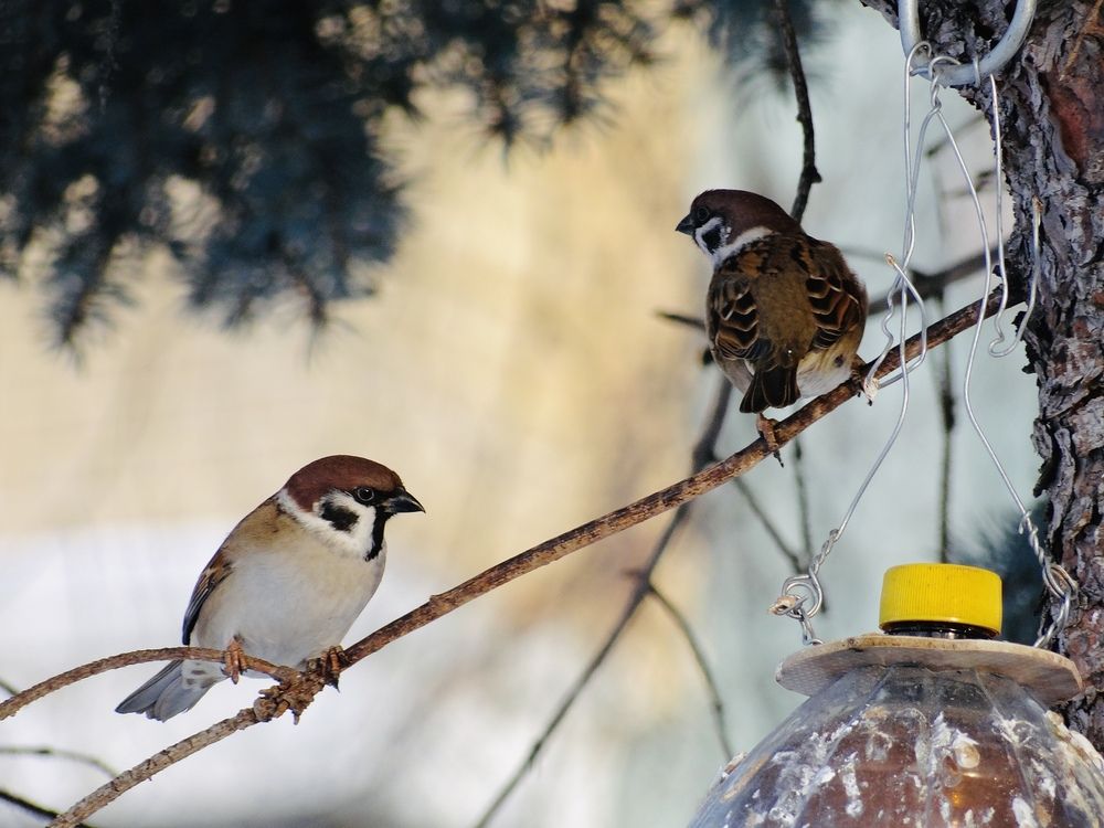 Photograph by Данила Мельников