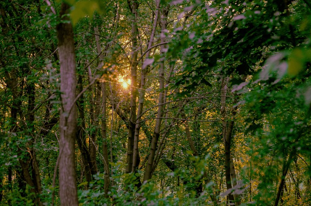 Photograph by Анна Потапова