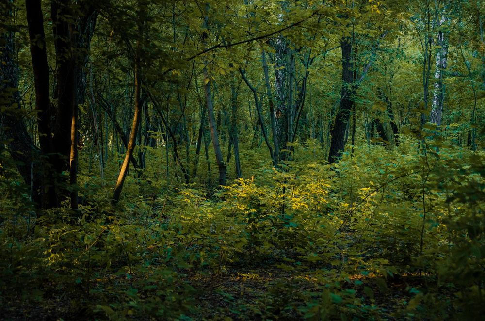 Photograph by Анна Потапова