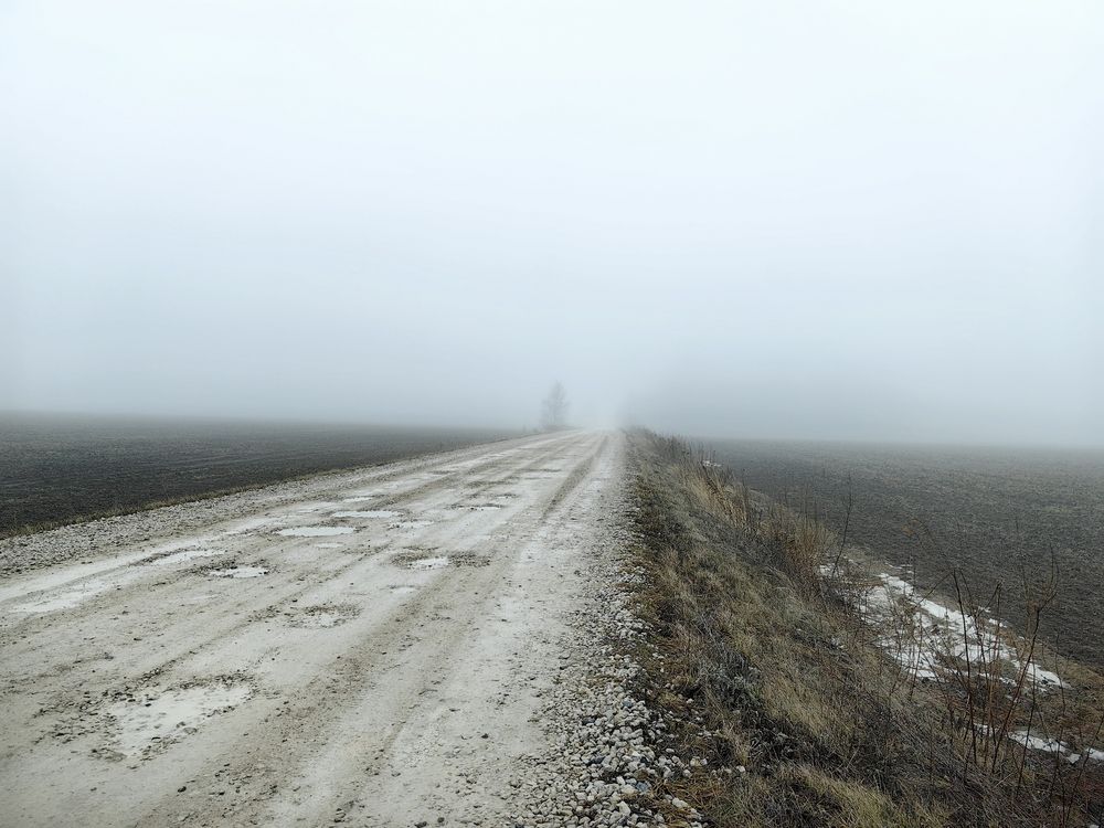 Photograph by Лейла Низамовна Кулиева